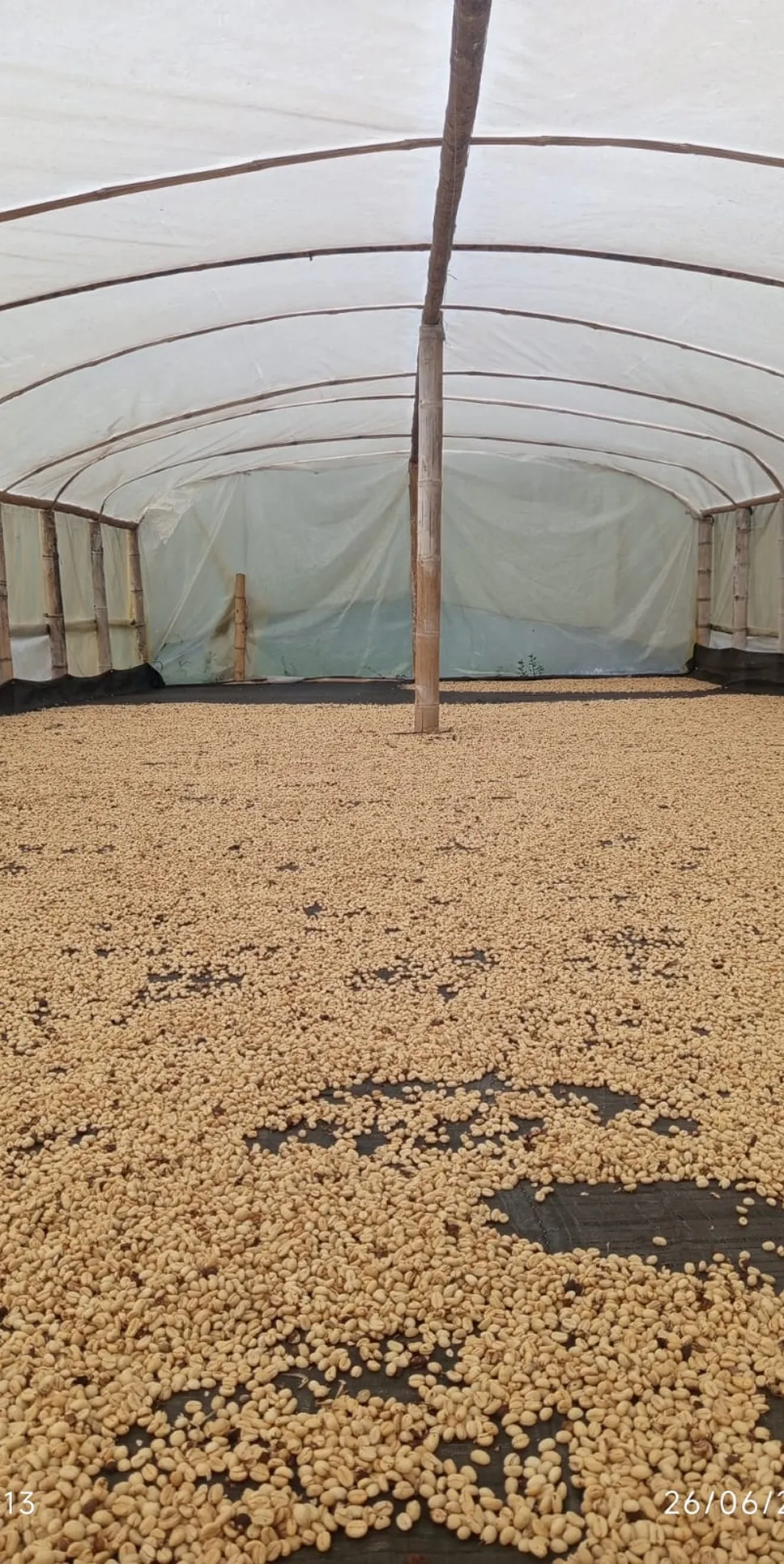 Beneficio de café de montaña con agua limpia