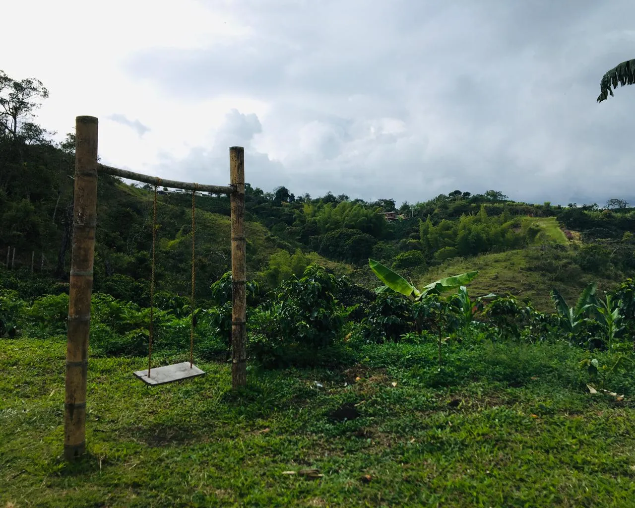 Paisaje de colinas verdes y exuberante vegetación bajo un cielo gris nublado.